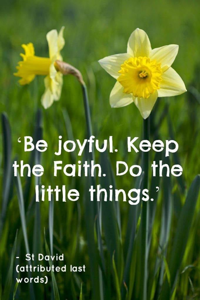 Picture of daffodils with the text 'Be Joyful. Keep the Faith. Do the Little Things' - attributed last words of St David
